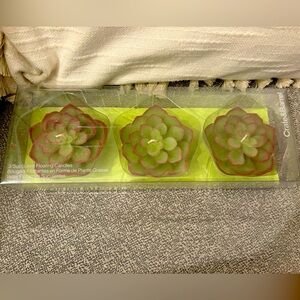 Crate & Barrel Succulent Floating Candles 🌵